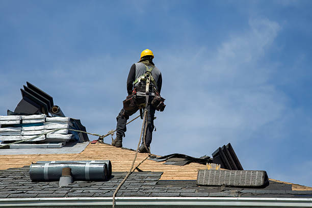 Professional Roof Replacement technician working in Wiota, IA